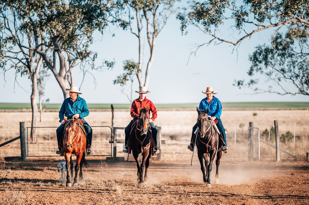 Pilbara Men's Closed Front Long Sleeve Shirt